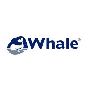CCW 5102 Whale Water Heater Communication PCB AK1886